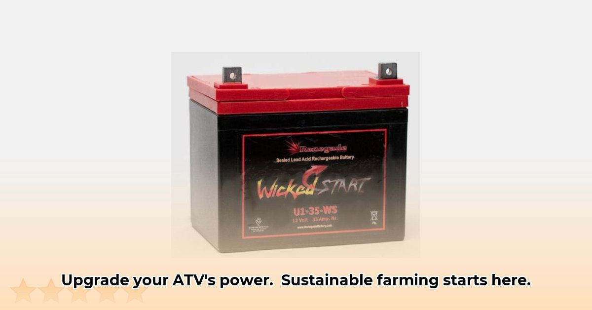 tractor-supply-atv-battery